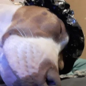 Meet your Posher, Alana